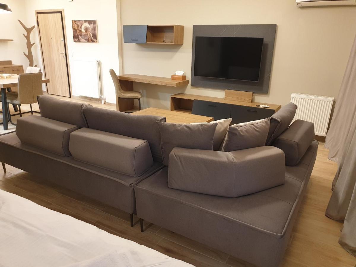 Olive Deluxe Apartment Karditsa Exterior photo