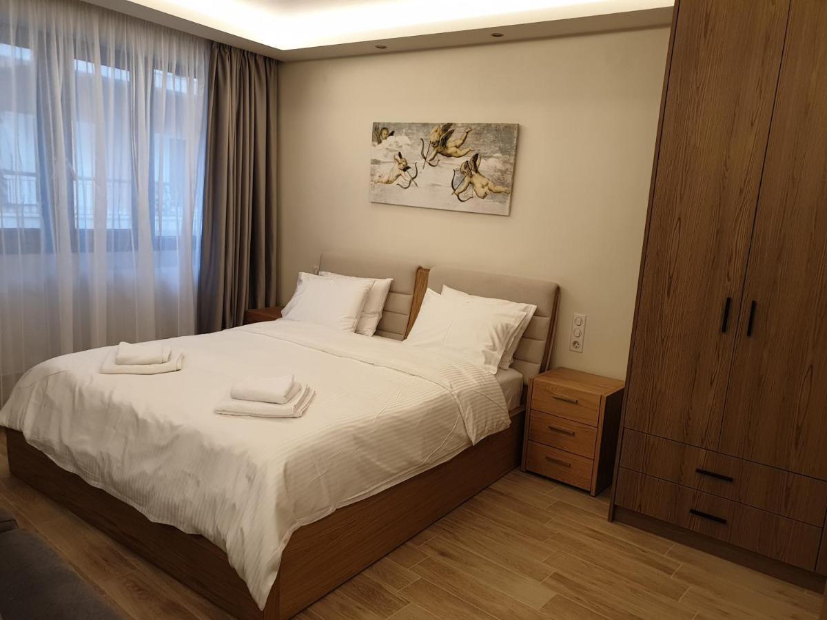 Olive Deluxe Apartment Karditsa Exterior photo