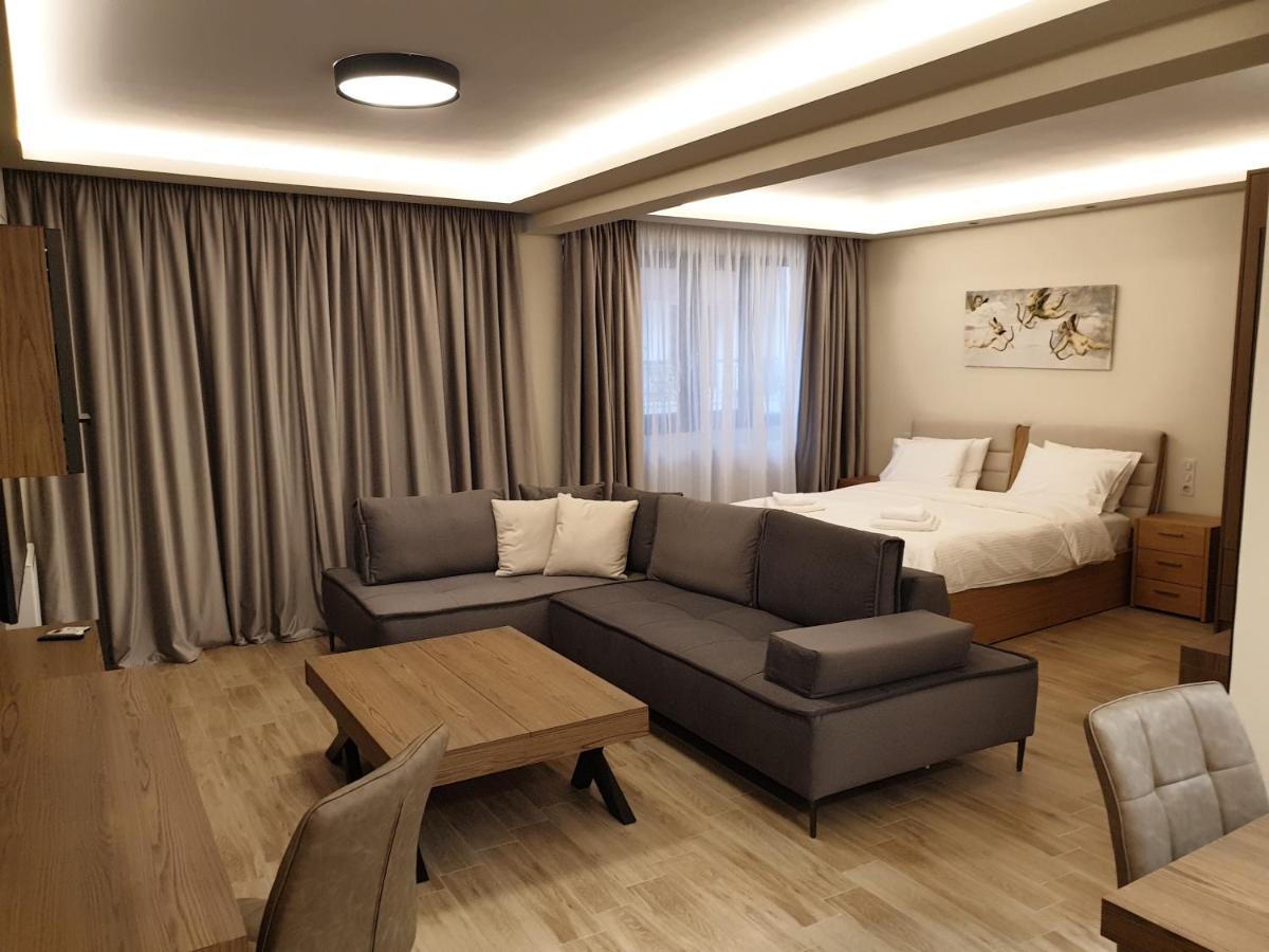 Olive Deluxe Apartment Karditsa Exterior photo